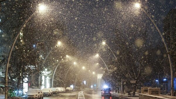 Ankara'da kar yağışı - Sputnik Türkiye