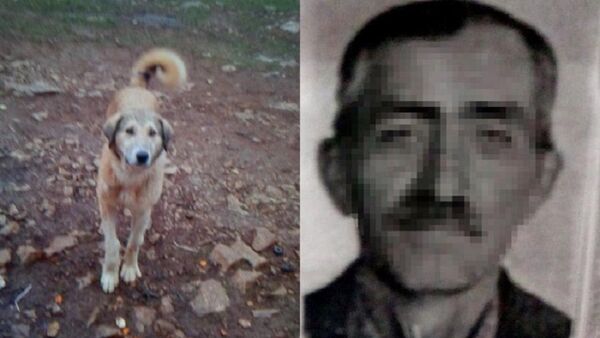 fazla ekmek yiyor diye köpeğini vurarak öldüren kişi - Sputnik Türkiye