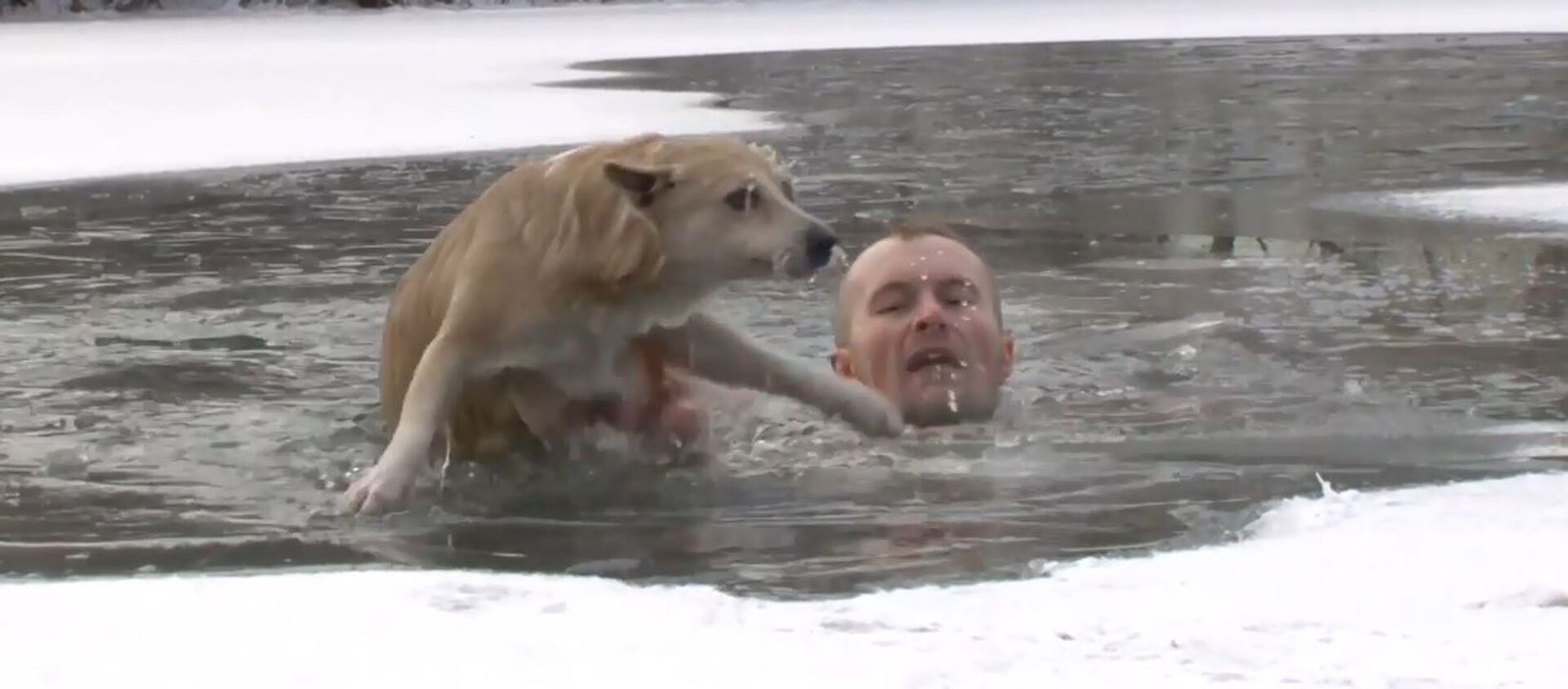 Rusya'da gazeteci çekim sırasında boğulmakta olan köpeği kurtardı - Sputnik Türkiye, 1920, 22.01.2021