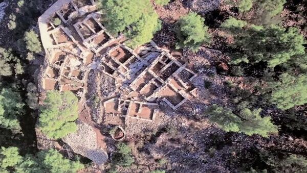 3500 yıllık Pedasa Antik Kenti'ni talan ettiler - Sputnik Türkiye