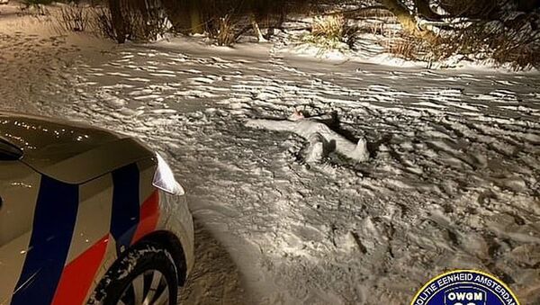 Hollanda'da polisin cinayet sandığı vakanın altından 'kardan adam' çıktı - Sputnik Türkiye