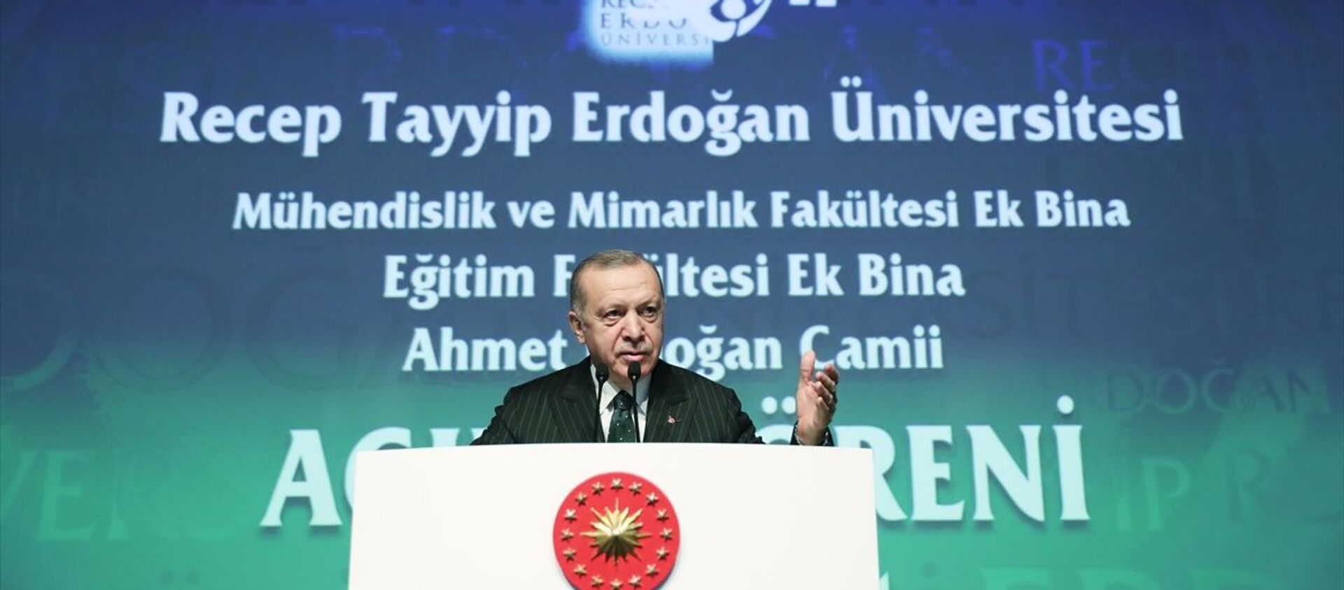 Recep Tayyip Erdoğan - Sputnik Türkiye, 1920, 12.02.2021