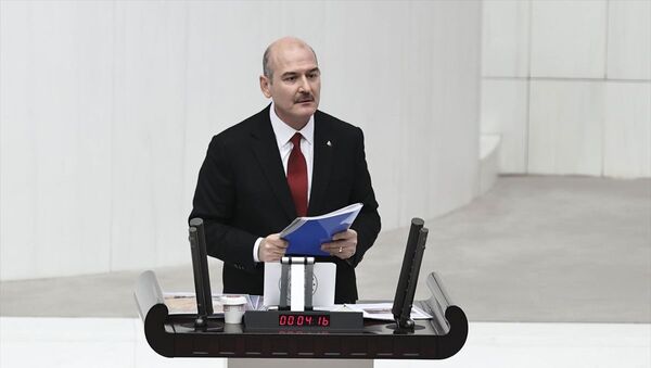 İçişleri Bakanı Süleyman Soylu, 13 Türk vatandaşının öldürülmesi ve Pençe Kartal-2 Harekatı konusunda bilgilendirme yaptı. - Sputnik Türkiye