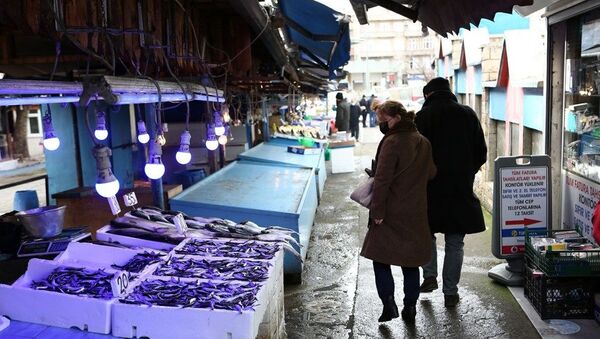 Balıkçılar ve Manavcılar Derneği Başkanı Cemal Kaya Şamlıoğlu, hava muhalefetinden dolayı son birkaç gündür balıkçıların denize açılamadığı için tezgahlarda günlük taze balık satılamadığını söyledi. - Sputnik Türkiye