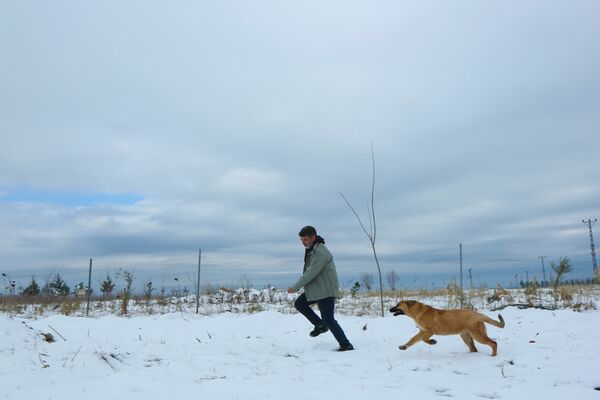 Çiftçi, işten sonra köpeğiyle oynuyor. - Sputnik Türkiye