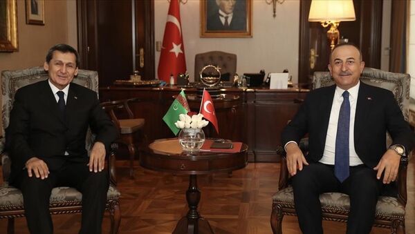 Dışişleri Bakanı Mevlüt Çavuşoğlu ve Türkmenistan Dışişleri Bakanı Raşid Meredov - Sputnik Türkiye