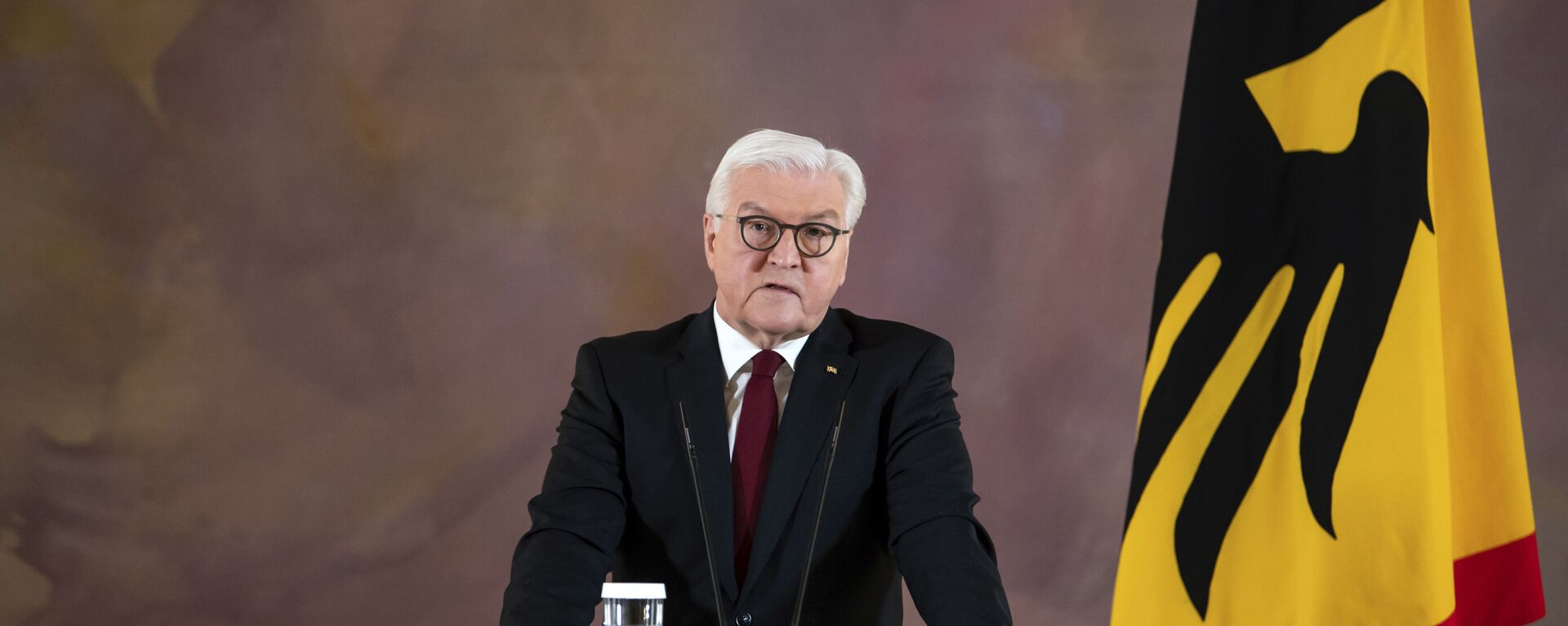 Almanya Cumhurbaşkanı Steinmeier - Sputnik Türkiye, 1920, 25.09.2021