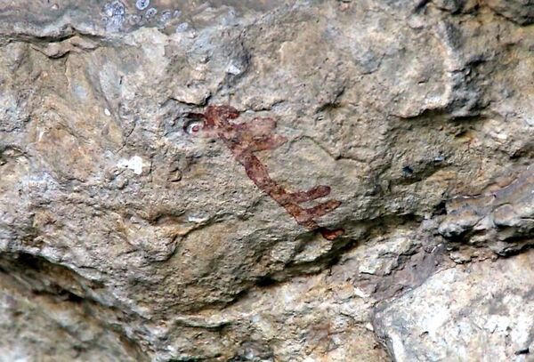 Araştırma kapsamında Erdemli ilçesindeki Alata Vadisi’nde bulunan Arslanlı Mahallesi sınırlarındaki sarp kayalık yamaçtaki mağarada 15’e yakın 8 bin yıllık kaya resimleri bulundu. - Sputnik Türkiye