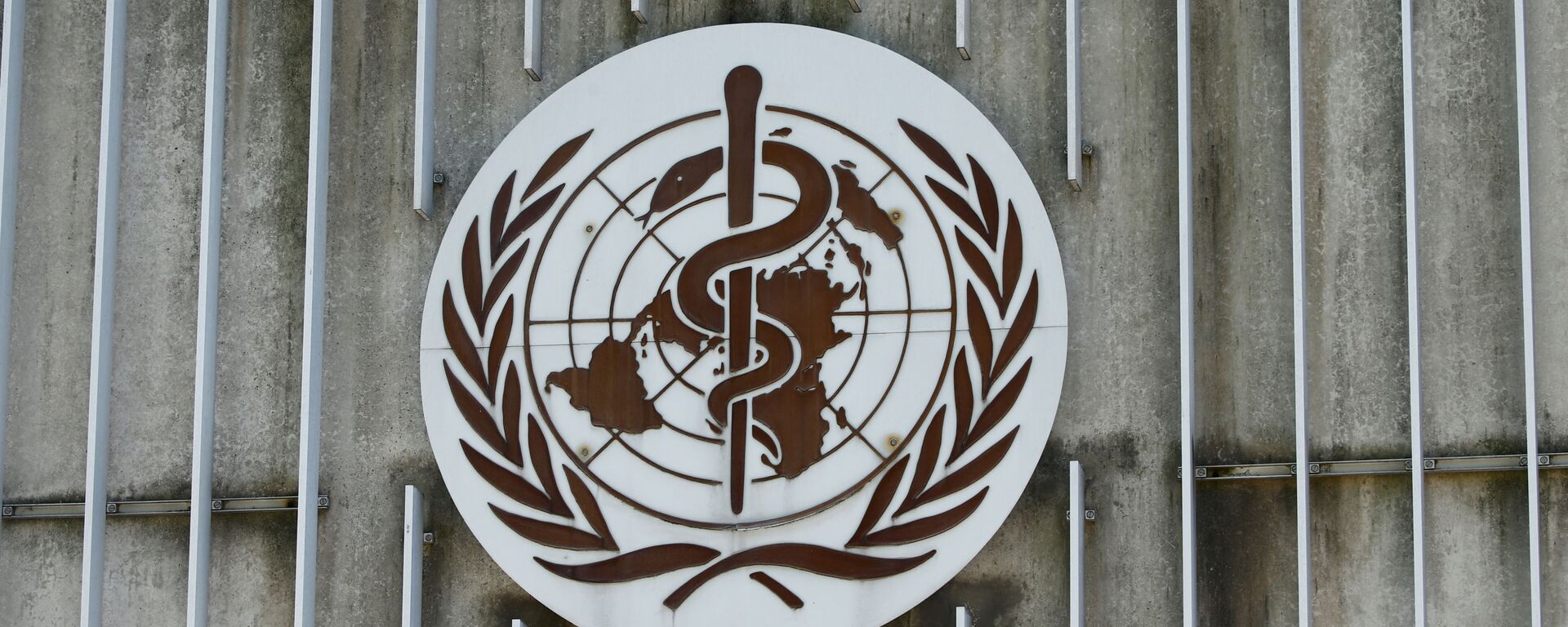 Dünya Sağlık Örgütü (DSÖ) - Sputnik Türkiye, 1920, 26.05.2021