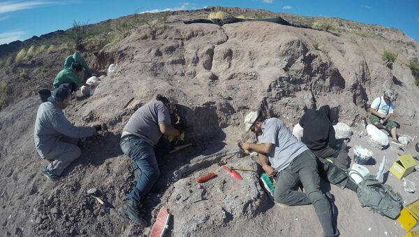 Arjantin'de, en eski dinozor topluluğuna ait fosiller bulundu - Sputnik Türkiye