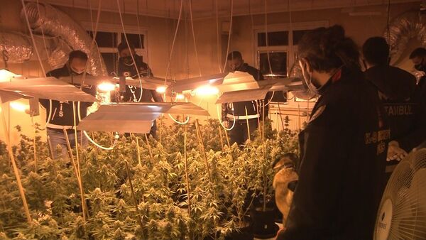 Avcılar'da narkotik operasyonu - Sputnik Türkiye