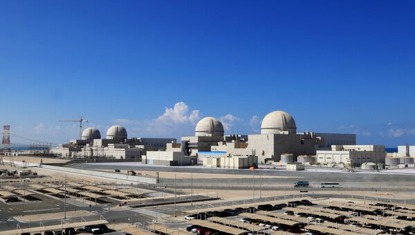 Barakah nükleer enerji santrali - BAE - Sputnik Türkiye