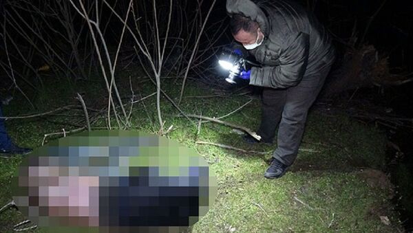 Meriç Nehri'nde balıkçılar tarafından erkek cesedi bulundu  - Sputnik Türkiye