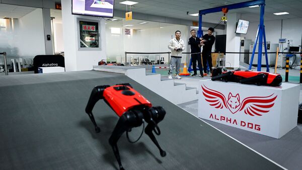 Çin merkezli robot firmasından yeni 'robot köpek'  - Sputnik Türkiye