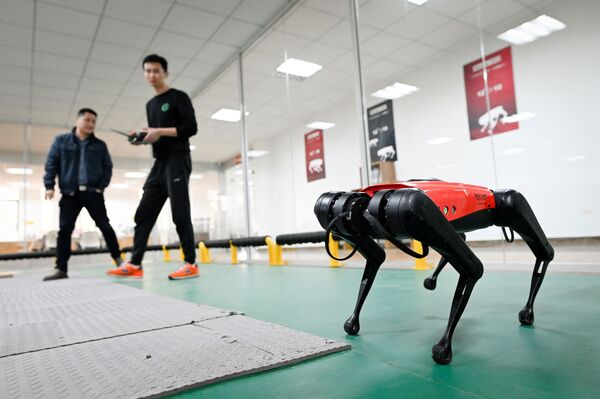 Çin merkezli robot firmasından yeni 'robot köpek'  - Sputnik Türkiye