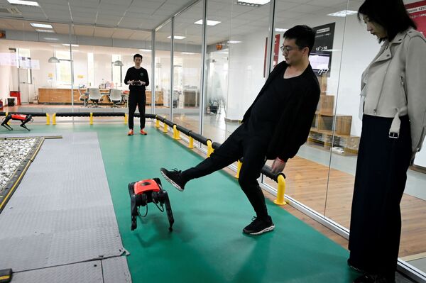 Çin merkezli robot firmasından yeni 'robot köpek'  - Sputnik Türkiye