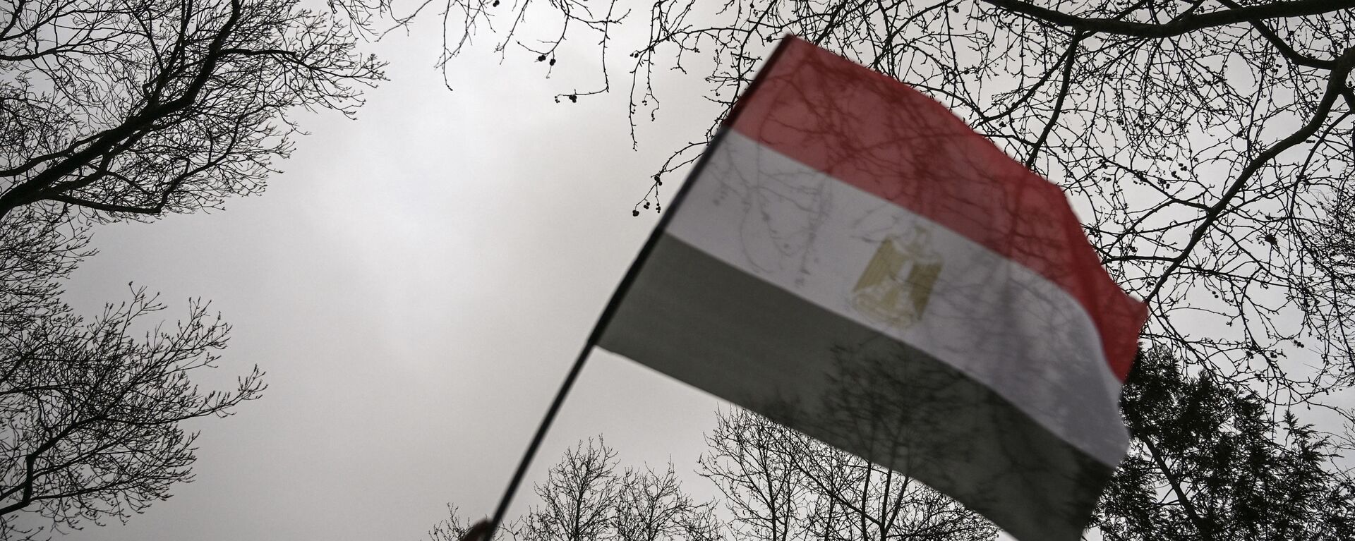 Mısır bayrağı - Sputnik Türkiye, 1920, 23.04.2021