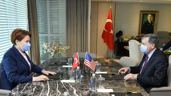 ABD Büyükelçisi Satterfield, İYİ Parti lideri Akşener - Sputnik Türkiye
