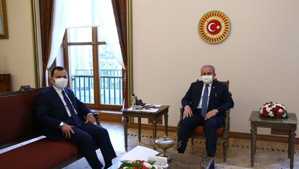 TBMM Başkanı Mustafa Şentop, Anayasa Mahkemesi Başkanı Zühtü Arslan'ı kabul etti. - Sputnik Türkiye