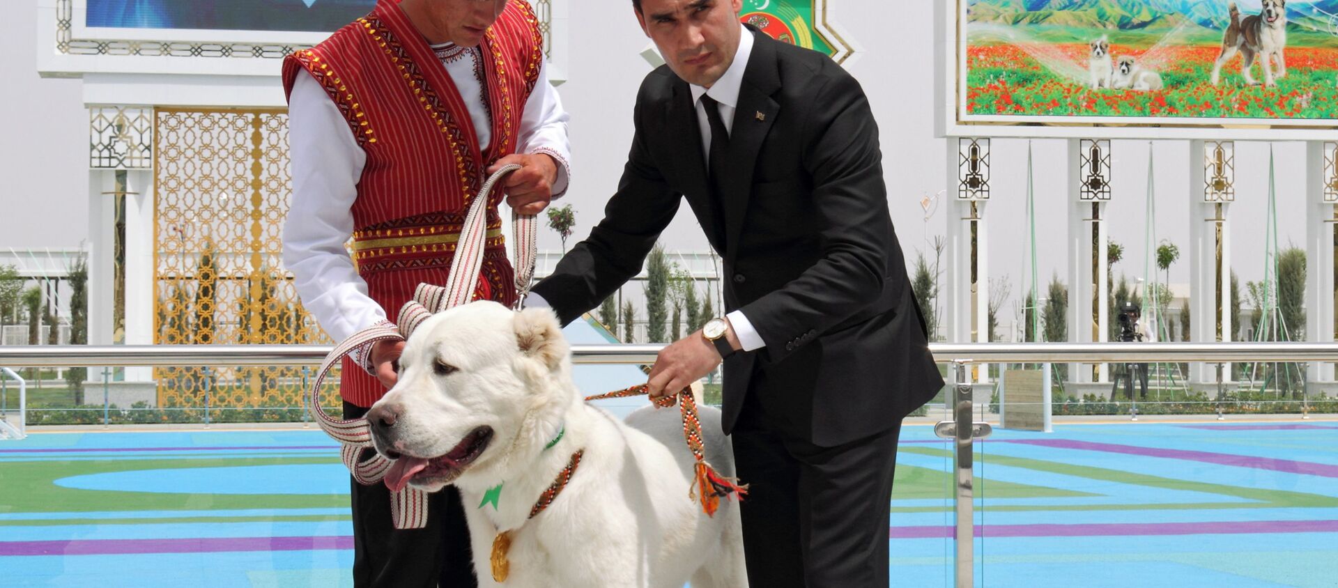 Aynı zamanda Türkmenistan Devlet Başkanı Gurbanguli Berdimuhammedov'un oğlu olan Başbakan Serdar Berdimuhammedov, Alabay Ulusal Günü'nde güzellik yarışmasını kazanan köpeğe madalya takarken - Sputnik Türkiye, 1920, 26.04.2021