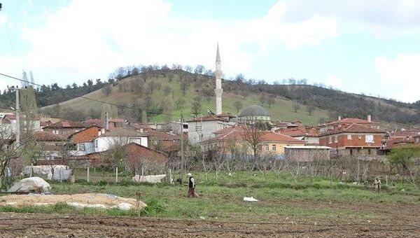Köy / altın - Sputnik Türkiye