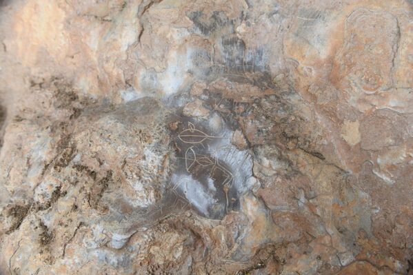 Kaya resimlerinin dönemin faunası ile ilgili önemli bilgiler verdiğini belirten Prof. Dr. Durukan ise, “Çok kısa bir süre önce İnsu köyünde Mersin için son derece önemli olan bir keşif yaptık. Bir mağaranın içinde günümüzden yaklaşık 8 bin yıl öncesine tarihleyebileceğimiz kaya resimleri tespit ettik. Bu tarihlemeyi net olarak yapmak belki şu an doğru değil, çalışmalarımız devam ediyor” dedi.  - Sputnik Türkiye
