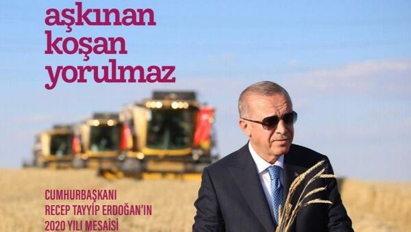 Cumhurbaşkanı Recep Tayyip Erdoğan'ın 2020 yılındaki mesaisi 'Aşkınan Koşan Yorulmaz' isimli kitapta anlatıldı. - Sputnik Türkiye