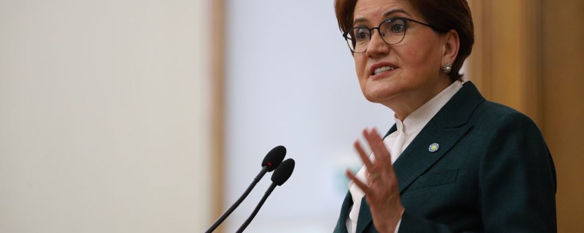 İYİ Parti lideri Meral Akşener - Sputnik Türkiye, 1920, 05.06.2021