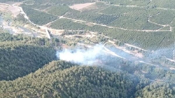 Muğla orman yangını - Sputnik Türkiye