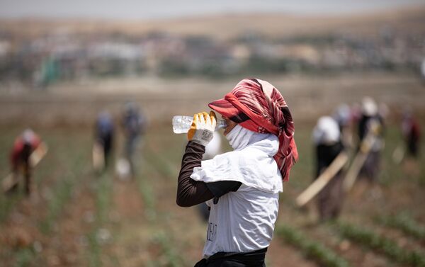 Ekili alanları kuruyan çiftçiler ciddi bir zarara uğradı. - Sputnik Türkiye