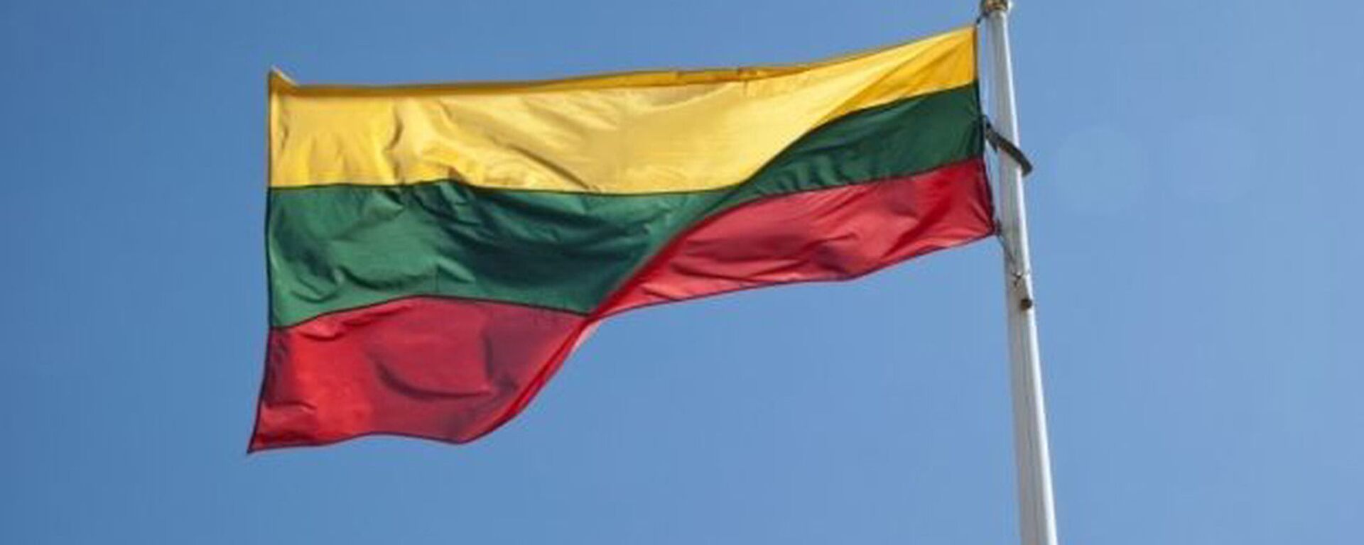 Litvanya bayrağı - Sputnik Türkiye, 1920, 26.04.2024