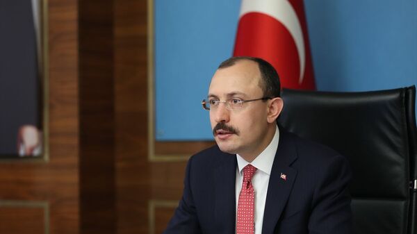 Ticaret Bakanı Mehmet Muş - Sputnik Türkiye