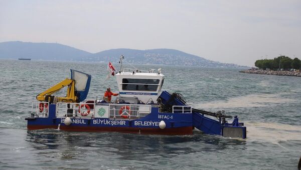 Kartal Belediyesi-İstanbul Büyükşehir Belediyesi deniz salyası temizleme - Sputnik Türkiye