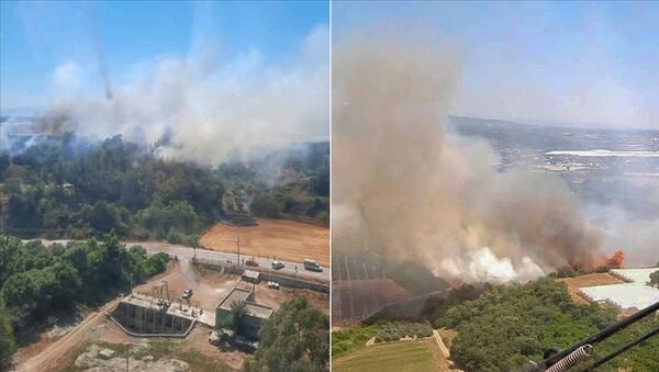 Antalya'da ormanlık alan ve tarım arazisinde çıkan yangınlar kontrol altına alındı - Sputnik Türkiye