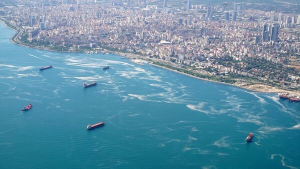 Marmara Denizi müsilaj deniz salyası - Sputnik Türkiye