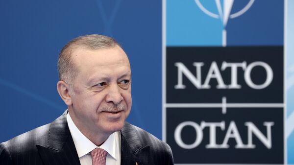 Recep Tayyip Erdoğan- NATO - Sputnik Türkiye