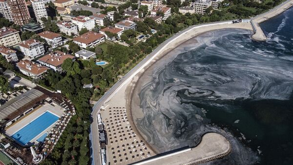 Son aylarda Marmara Denizi’ni etkisi altına alan deniz salyası (müsilaj) Kadıköy Caddebostan sahil şeridinde yoğunluğunu sürdürüyor - Sputnik Türkiye