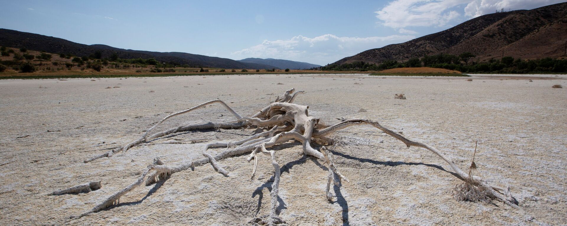 ABD'nin batı yakasında aşırı sıcak-kuraklık döngüsünde kuruyan Elizabeth Gölü (Los Angeles, Kaliforniya) - Sputnik Türkiye, 1920, 21.06.2021