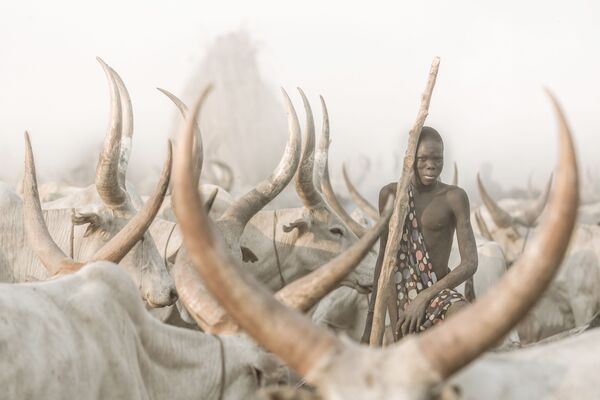 Çevresel Portre kategorisinde birincilik kazanan İsviçreli fotoğrafçı  Josef Bürgi'nin fotoğrafı, Güney Sudan'da çekildi.  - Sputnik Türkiye