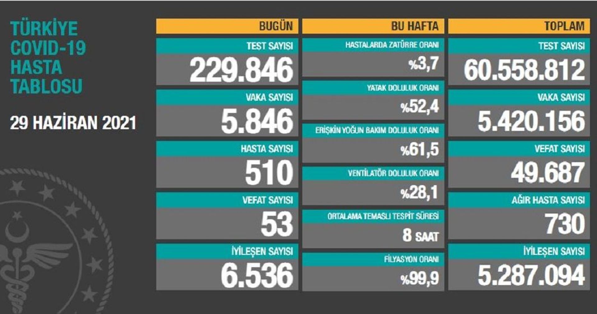 Türkiye 29 Haziran 2021 Koronavirüs Tablosu - Sputnik Türkiye, 1920, 10.08.2021