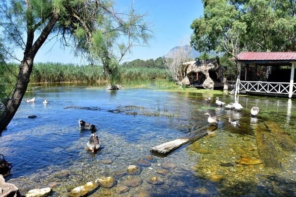 Cittaslow Uluslararası Koordinasyon Komitesi'nce 2011 yılının Haziran ayında 'Sakin Şehir' ilan edilen Akyaka Mahallesi'nde su altı bitki örtüsü, elle tutulabilecek hissini veren balıklar ile doğal akvaryum görüntüsü oluşturan Kadın Azmağı, dünyayı etkisi altına alan kuraklıktan etkilendi.

 - Sputnik Türkiye