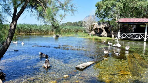 Akyaka - Sputnik Türkiye