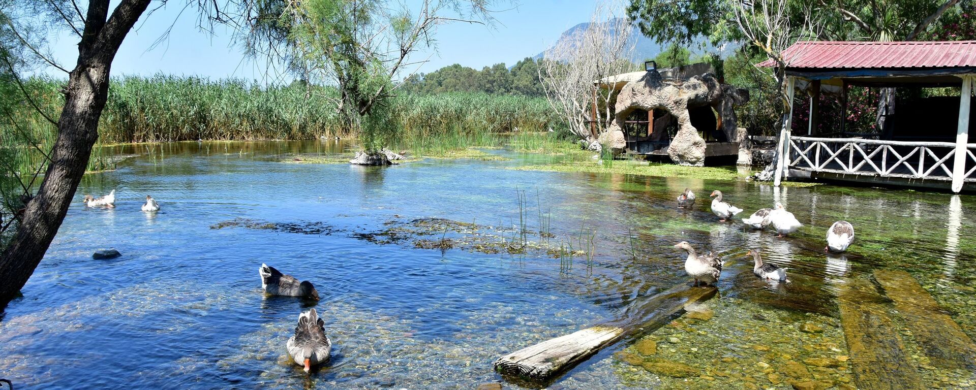 Akyaka - Sputnik Türkiye, 1920, 18.12.2025