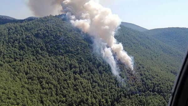 Muğla'da orman yangını - Sputnik Türkiye