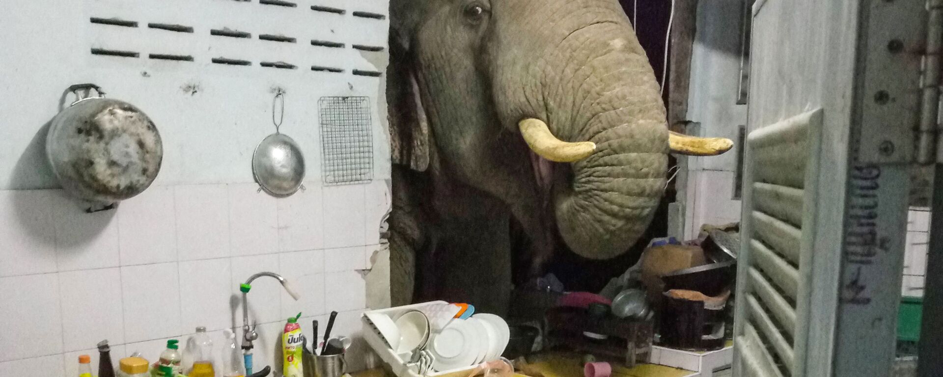 Radchadawan Peungprasopporn'un Facebook hesabında paylaştığı evinin mutfak duvarını yıkan Plai Bunchuay isimli 40 yaşındaki erkek fil - Sputnik Türkiye, 1920, 01.07.2021