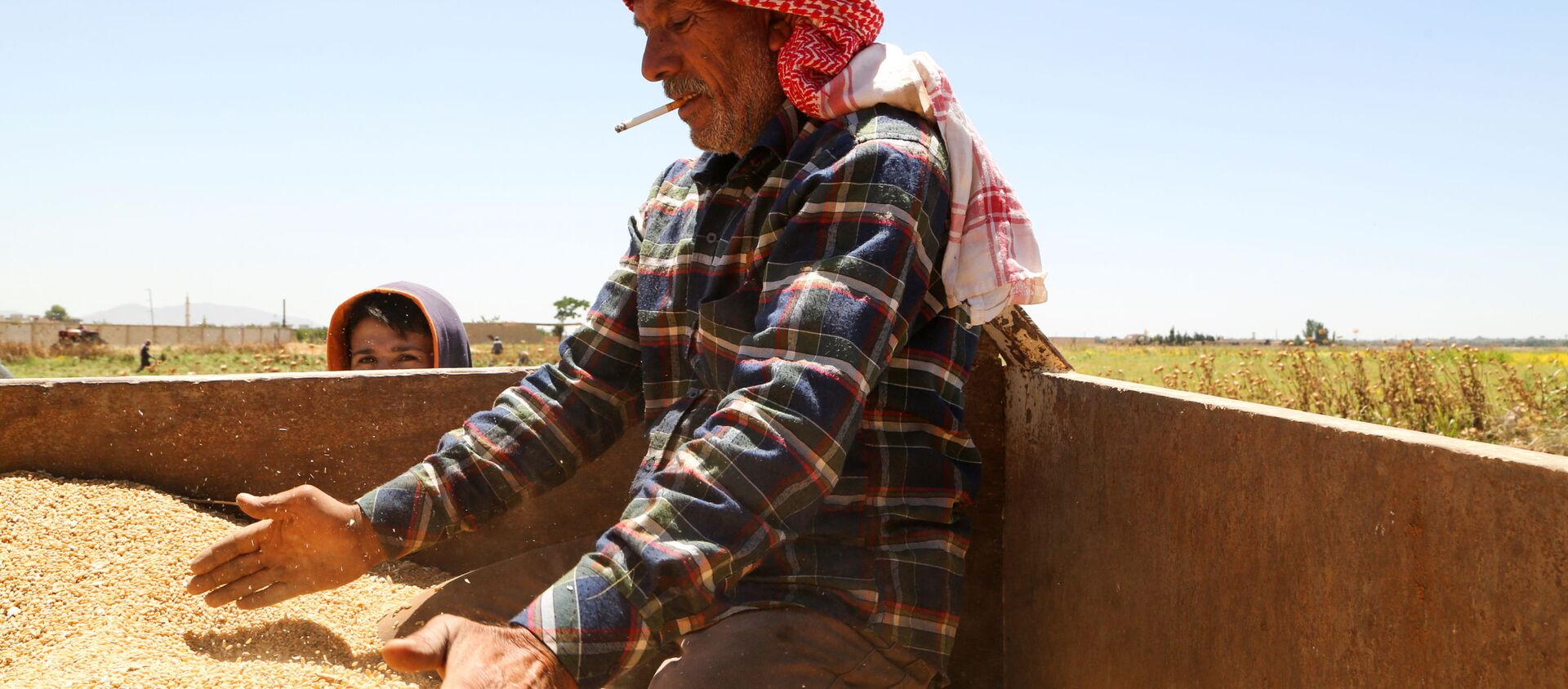 Suriye başkenti Şam'ın dışındaki Deyr Habiyeh'de buğday hasadını kontrol eden çiftçi (17 Haziran 2021) - Sputnik Türkiye, 1920, 04.07.2021