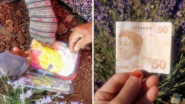 Tarlada çalışan kadın işçilere dondurma alınması için 50 lira bıraktı - Sputnik Türkiye