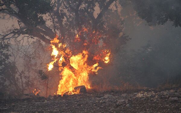 Manisa'nın Kula ilçesine bağlı Ayazören mahallesinde ormanlık alanda 6 farklı noktada yangın çıktı. 10 hektar örtülük alan ve 5 hektarlık zirai alanın zarar gördüğü yangın kontrol altına alındı. - Sputnik Türkiye