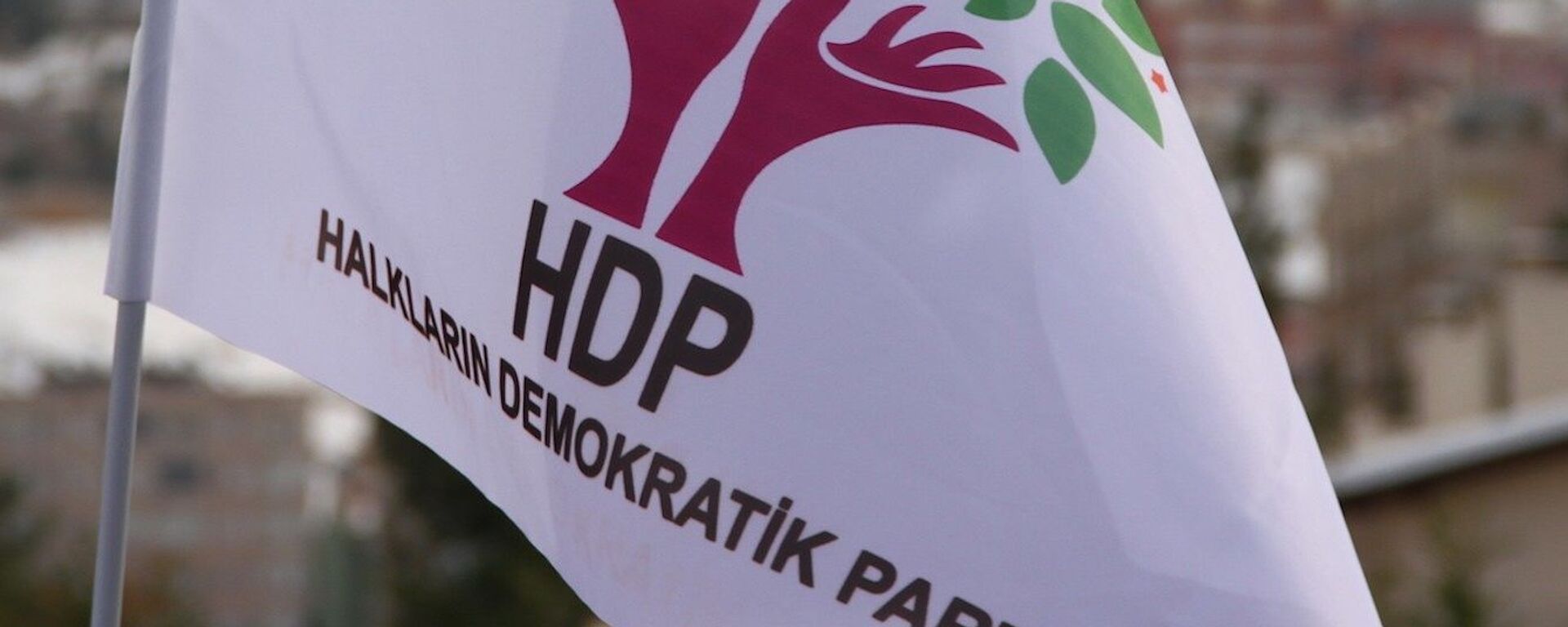 HDP - bayrak - logo - Sputnik Türkiye, 1920, 13.12.2021