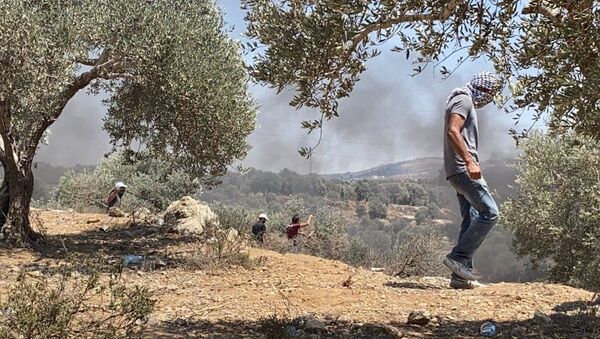 İsrail güçlerinin Batı Şeria'nın Nablus kentinde yasadışı Yahudi yerleşim birimlerini protesto eden Filistinlilere müdahalesi sonucu 108 Filistinli yaralandı. - Sputnik Türkiye
